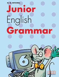 junior english grammar 6 